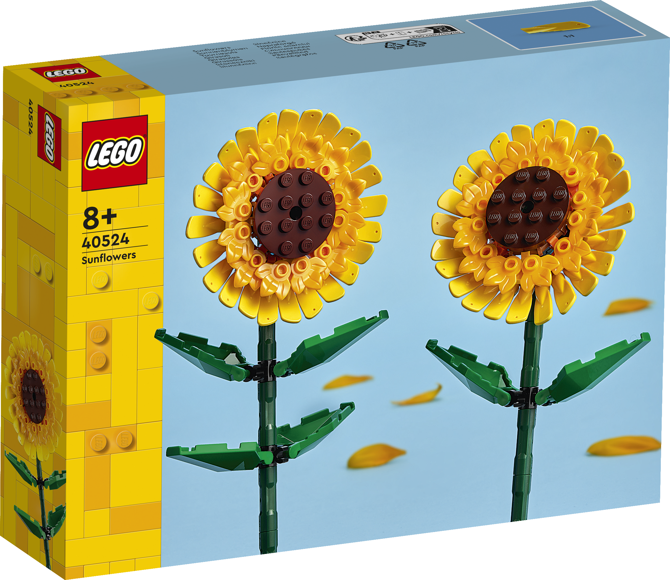 Sonnenblumen