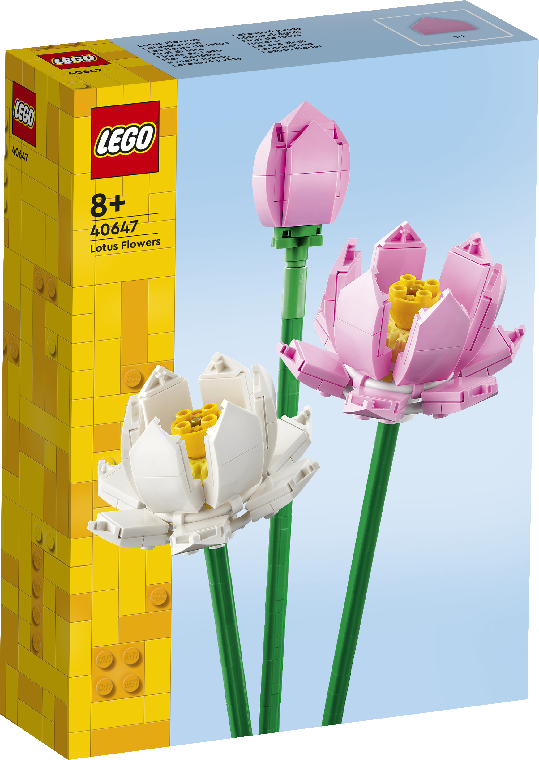 Lotusblumen