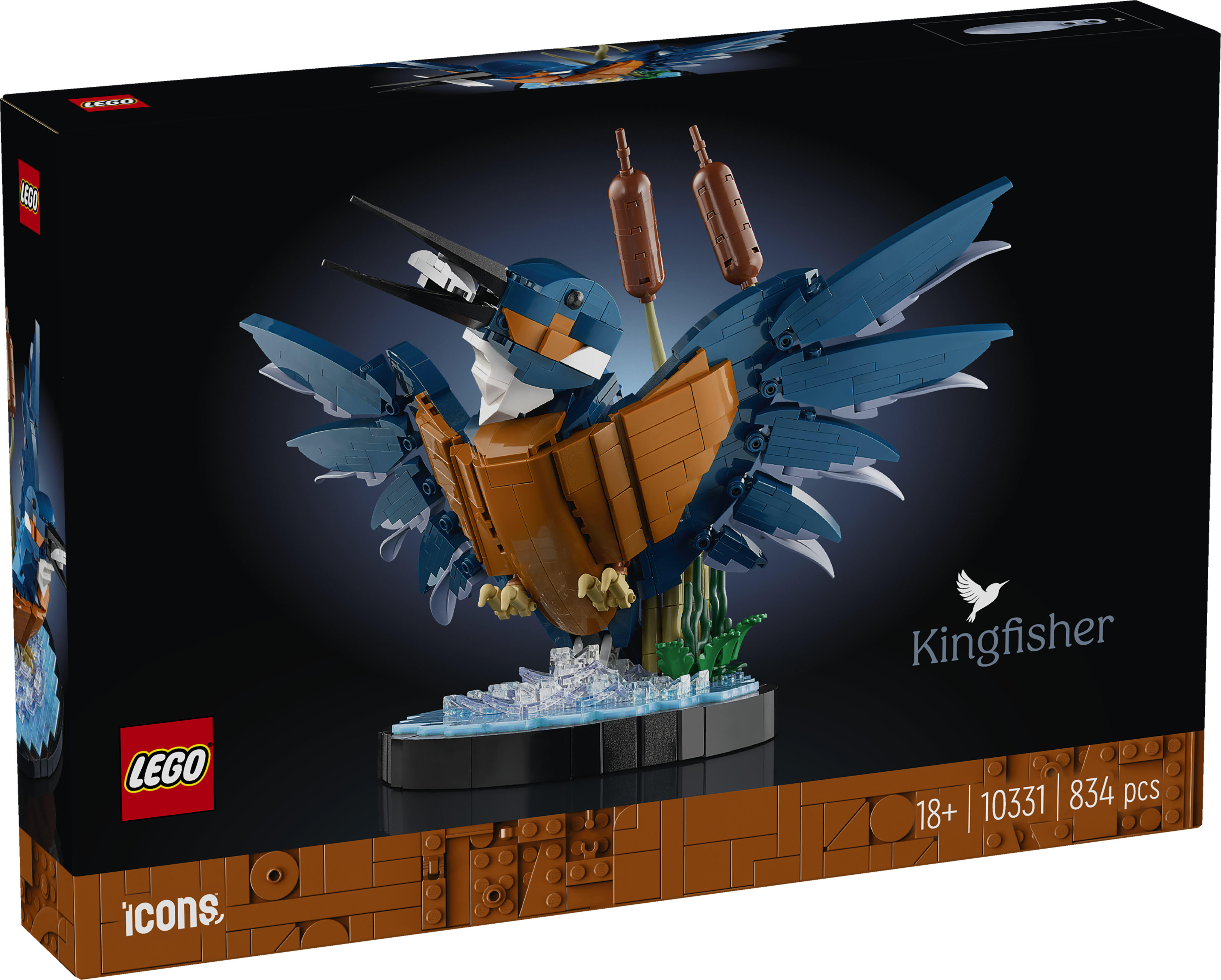 Eisvogel