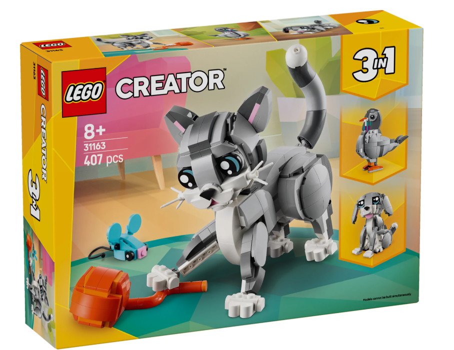 Graue Katze