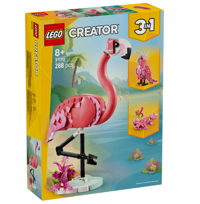Wilde Tiere: Rosa Flamingo
