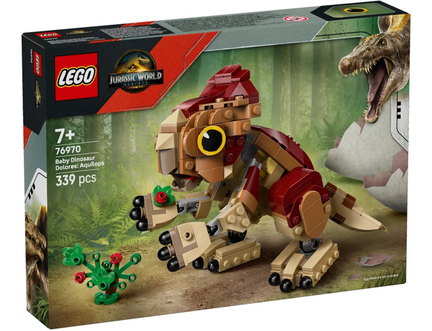 Babydinosaurier Dolores: Aquilops