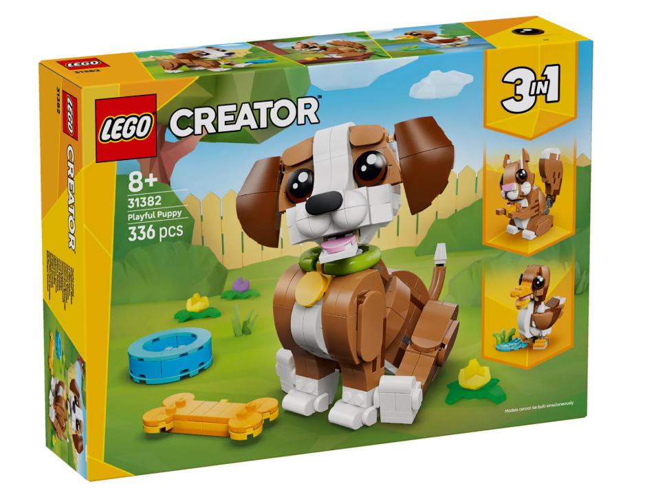 Niedliche Tiere: Verspielter Welpe