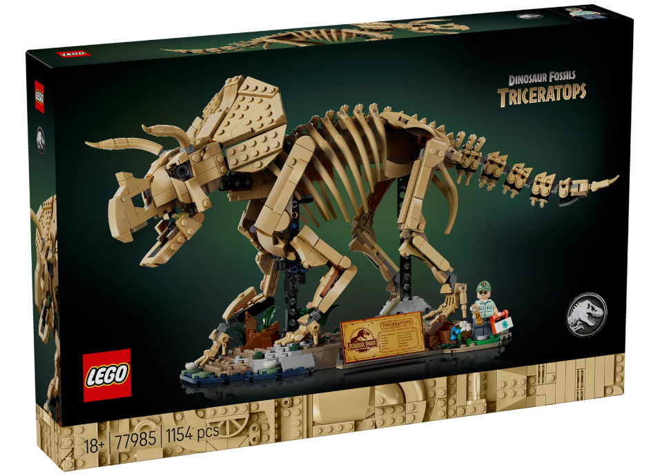 Dinosaurier-Fossilien: Triceratops
