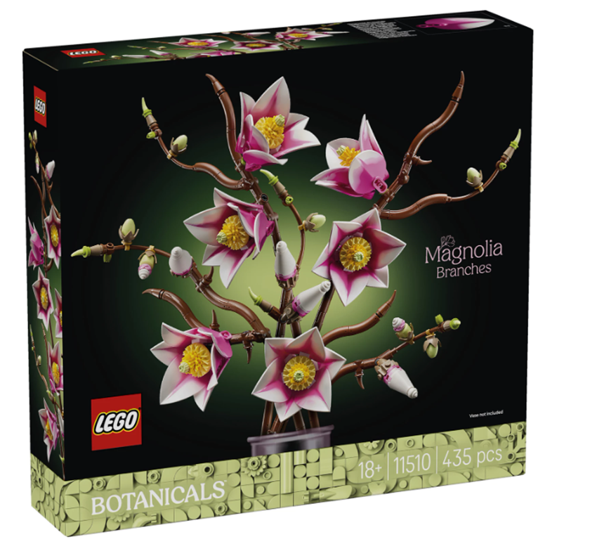 Magnolienzweige