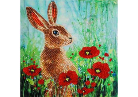Wilder Mohn und der Hase, Karte 18x18cm 