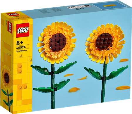 Sonnenblumen