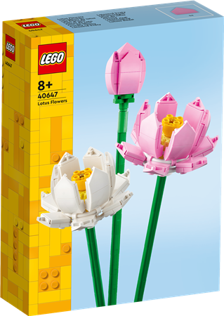 Lotusblumen