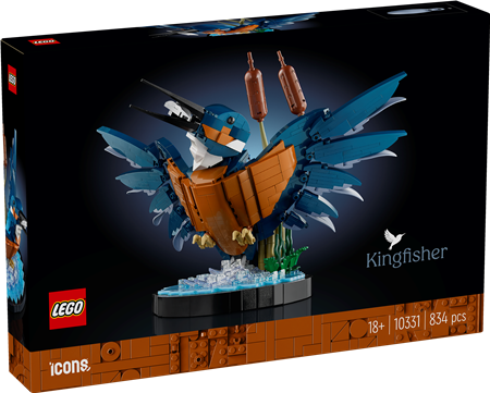 Eisvogel