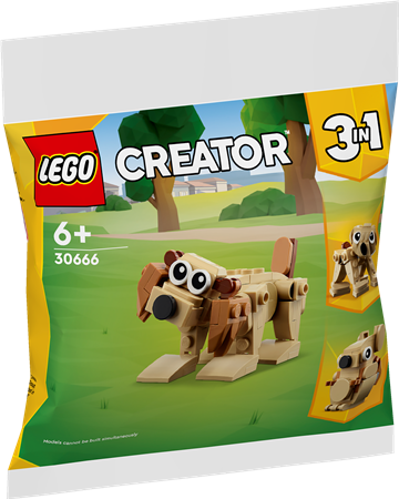 Creator 3-in-1 Geschenkset mit Tieren