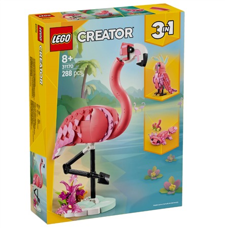 Wilde Tiere: Rosa Flamingo