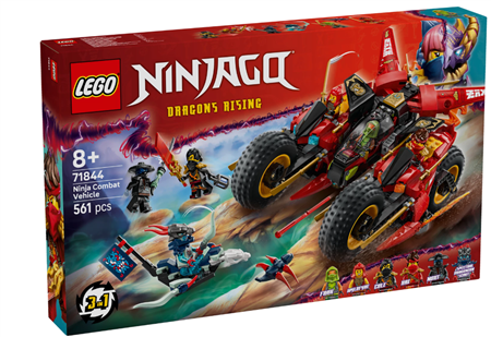 Ninja-Actionflitzer
