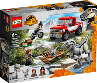Blue &amp;amp; Beta in der Velociraptor-Falle