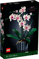 Orchidee
