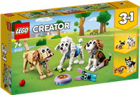 Niedliche Hunde