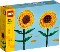 Sonnenblumen