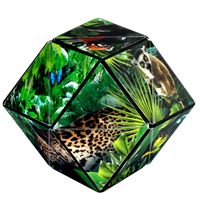 Shashibo Cube Jungle