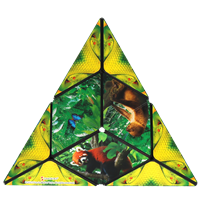 Shashibo Cube Jungle