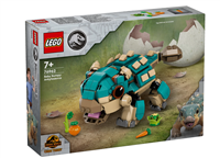 Baby Bumpy: Ankylosaurus