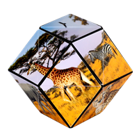 Shashibo Cube Savanna