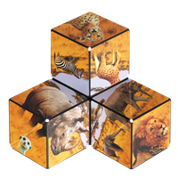 Shashibo Cube Savanna