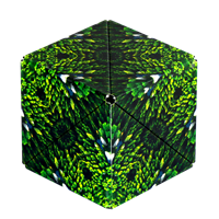 Shashibo Cube Forest