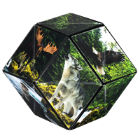 Shashibo Cube Forest