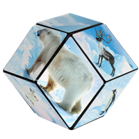 Shashibo Cube Arctic