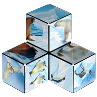 Shashibo Cube Arctic