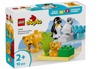 Wildtier-Familien: Pinguine und L&amp;#246;wen