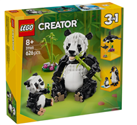 Wilde Tiere: Pandafamilie