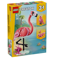 Wilde Tiere: Rosa Flamingo