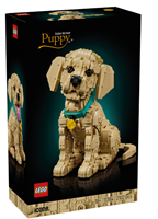 Golden Retriever Welpe